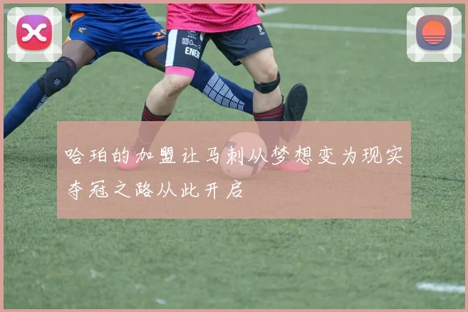 哈珀的加盟让马刺从梦想变为现实夺冠之路从此开启